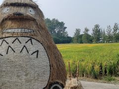 -嘉北郊野公园