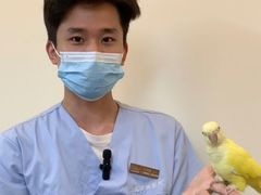 -立德异宠动物医院.兔鸟爬.内窥镜(天河店)