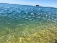 -青海湖国家重点风景名胜区