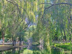 -长白岛森林公园