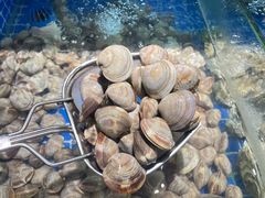 -鼎级香· 火锅烤肉自助丨涮烤一体(蜀山唯品会店)