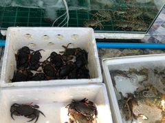 -拉威海鲜市场