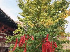 -红石寨旅游度假区