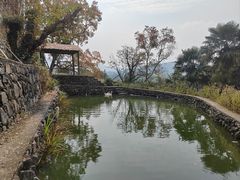-塔川景区