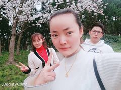 -嘉定紫藤园