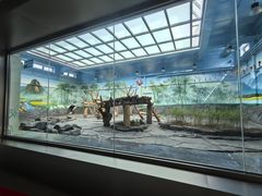-秦皇岛野生动物园
