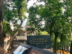 -马王堆汉墓遗址