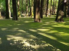 -波尔登森林公园