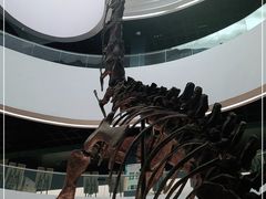 -昆明动物博物馆