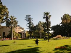 -墨尔本皇家植物园