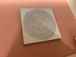 -诗丽华黛美容院