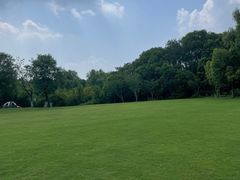 -昆山城市生态森林公园