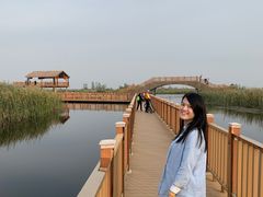 -白洋淀景区