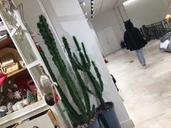 -ZARA(世贸天阶店)