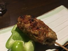 鸡肉丸-TINY