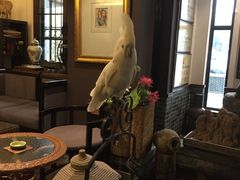 大堂-大唐名家·息壤店