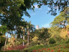 -深圳国际园林花卉博览园