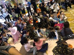 -卡通尼·Safari非洲探索乐园·生日会(金桥国际商业广场店)