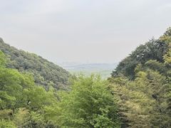 -韬光茶庵