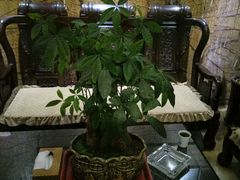 -富侨养生(康乾店)