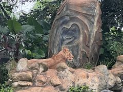 -海南热带野生动植物园