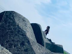 -南汇嘴观海公园