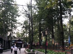 -尚庄度假村·庭台树下·户外烧烤·团建CS·轰趴营地(上庄水库店)