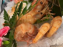 -Mr.Fish鱼鲜生海鲜放题(高德置地冬广场店)