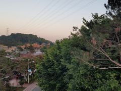 -仙岳公园
