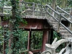 -天门沟九州驿站树上汤泉