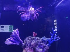 -厦门海底世界