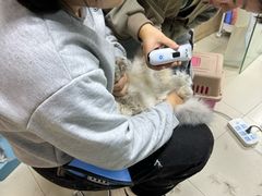 -老吴的猫·猫舍(新区店)