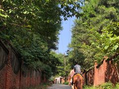 -铁山坪森林公园