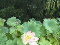 -兰亭风景区