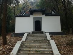 -青龙山国家森林公园