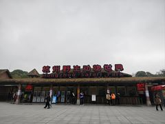 -杭州野生动物世界