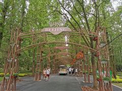 -东平国家森林公园
