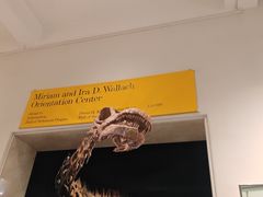 -美国自然历史博物馆