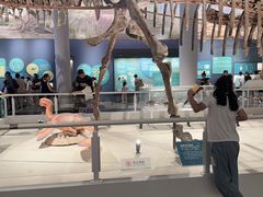 -国家自然博物馆