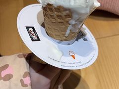 -野人先生现做冰淇淋(北京顺义祥云小镇店)