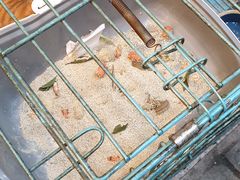 -海派铜锣湾(打浦路店)