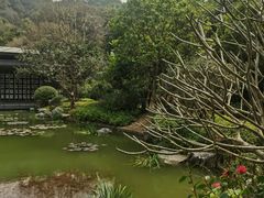 -云溪植物园