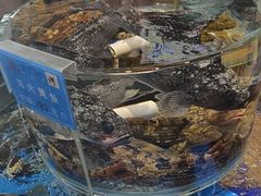 -乔家小院•非遗驴肉•青岛菜(滨河路店)
