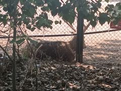 -北京麋鹿生态实验中心