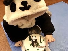 -锦时动物奶油蛋糕(茂业东方时代店)