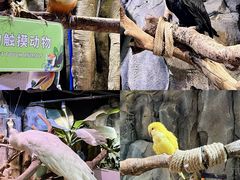 -正佳雨林生态植物园