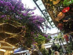 -海韵人家.海景花园经典云南菜(双廊店)
