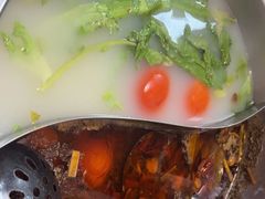 -肥婆麻辣火锅.顺德首创药材麻辣火锅(容桂店)