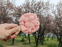 -苏州上方山国家森林公园