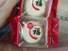 -GANSO  元祖食品(金渝大道店)